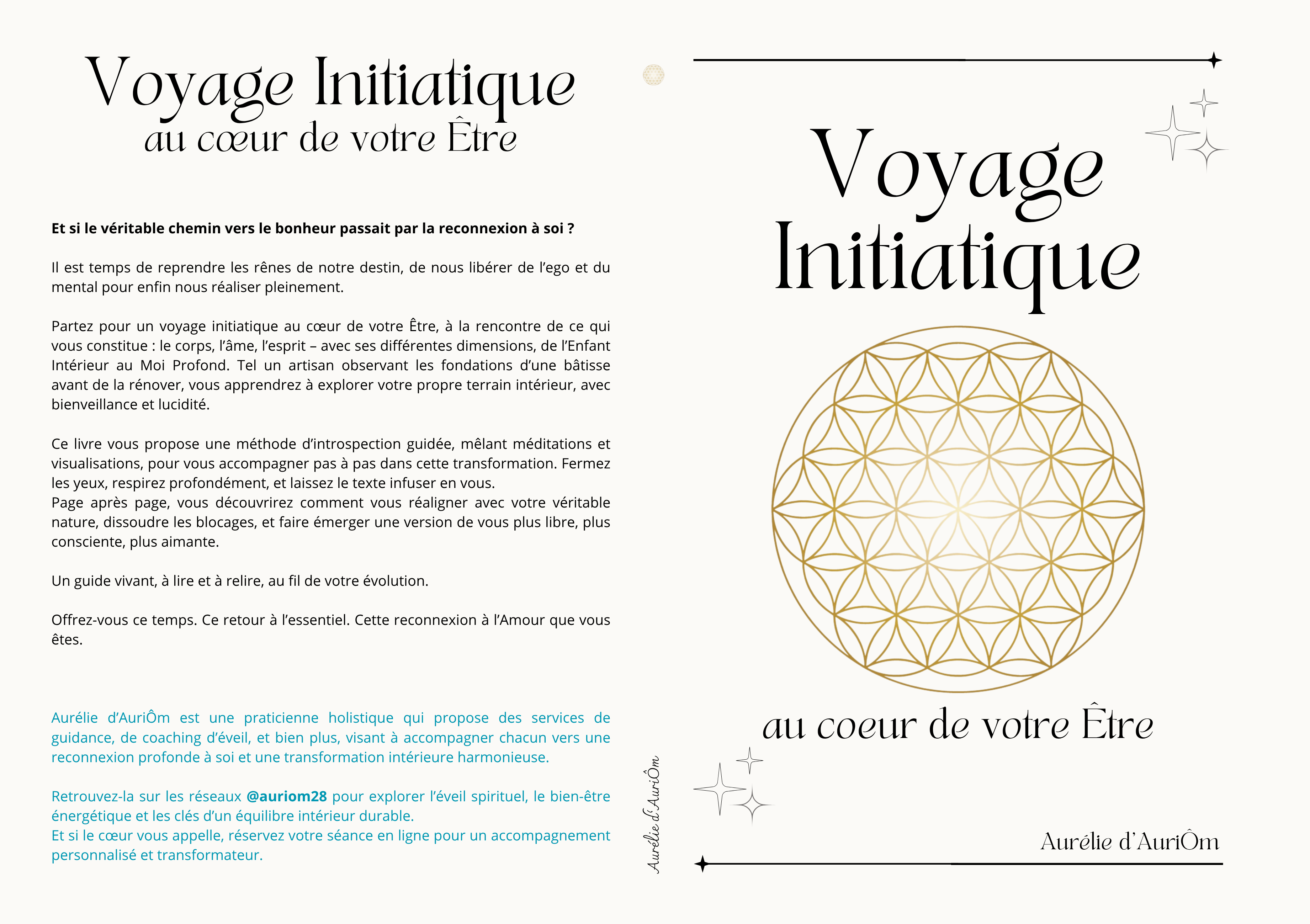 Voyage initiatique + Séance "guidance-coaching" de 30 minutes