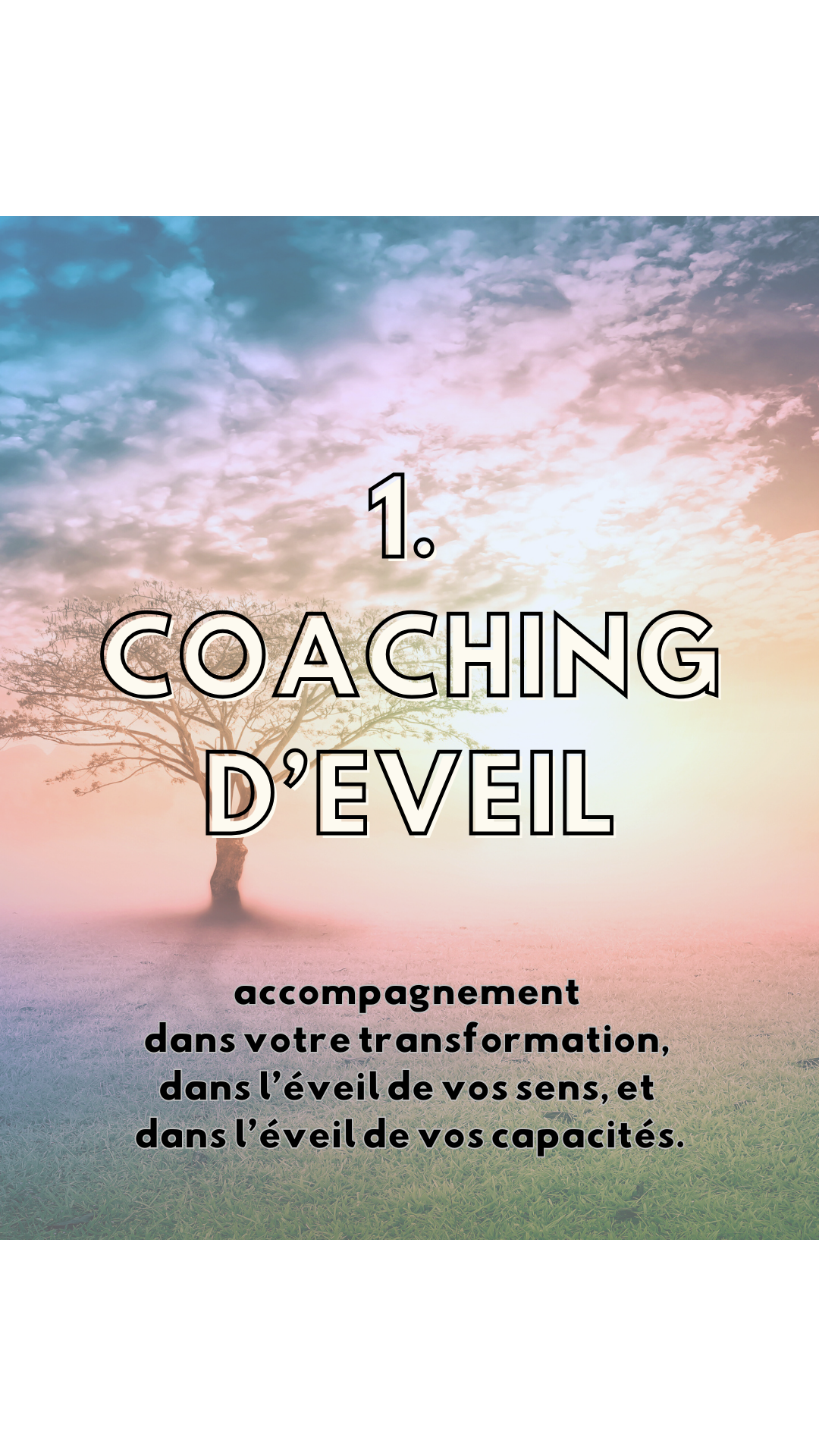 Seance Coaching d'Eveil / 1H 