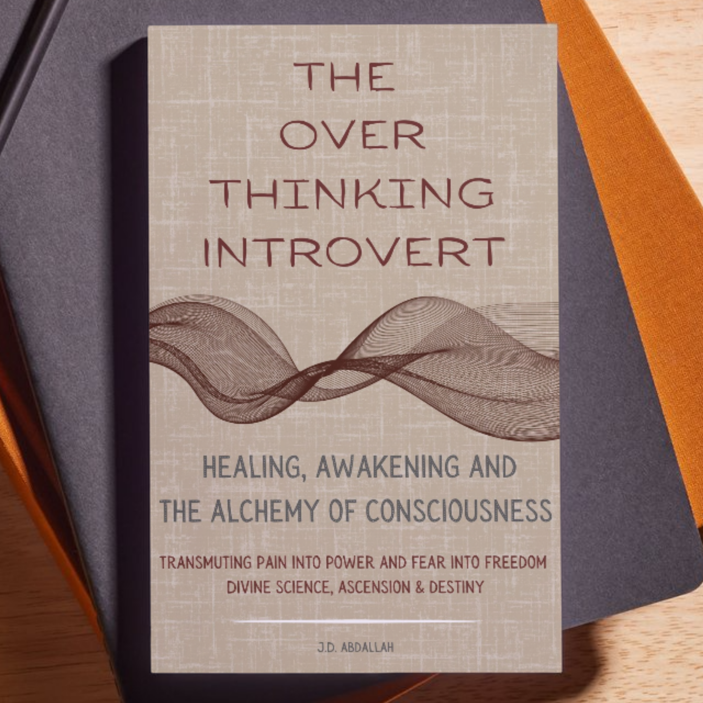 The Overthinking Introvert (Hardcover)