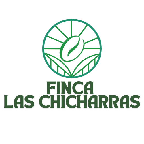 Chiapas - Lavado Maragogipe