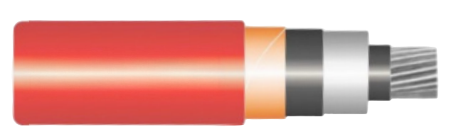 1C AL/XLPE/CTS/PVC – NA2XSY