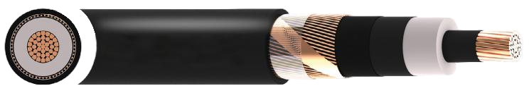 N2XS2Y 12/20 (24)kV Cable
