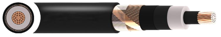 N2XS2Y 6/10 (12)kV Cable