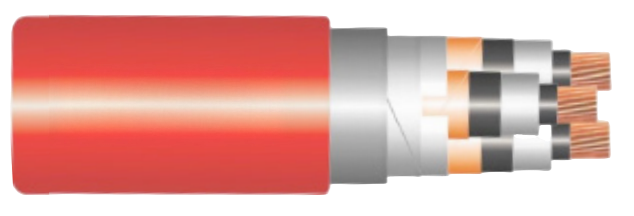  3C CU/XLPE/CTS/PVC/LS/PVC – N2XSEKY