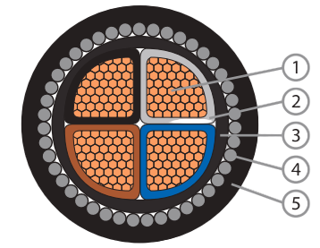 FRT-XSH CU/XLPE/LSZH/SWA/LSZH (2CORES-5 CORES) Power Cable