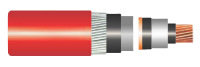 1C CU/XLPE/CTS/LS/PVC/AWA/PVC – N2XSKYR(AL)Y