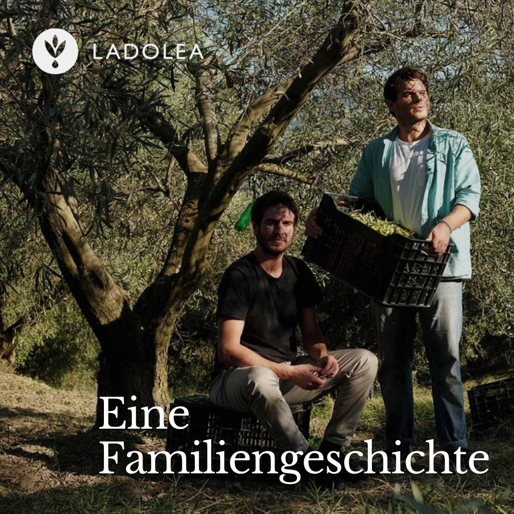 LADOLEA Premium extra natives Olivenöl 500ml Dose