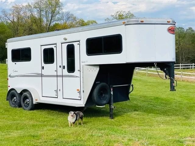 2007 Sundowner 2 Horse Straight Load Gooseneck Trailer For Sale