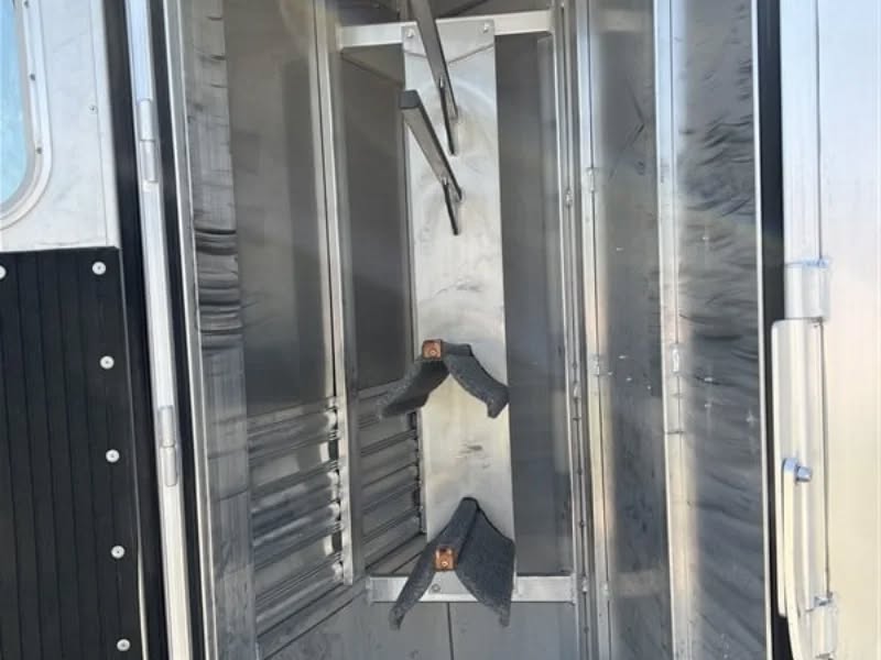 2019 Platinum 2 Horse Trailer