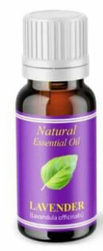 Lavender Essential Oil