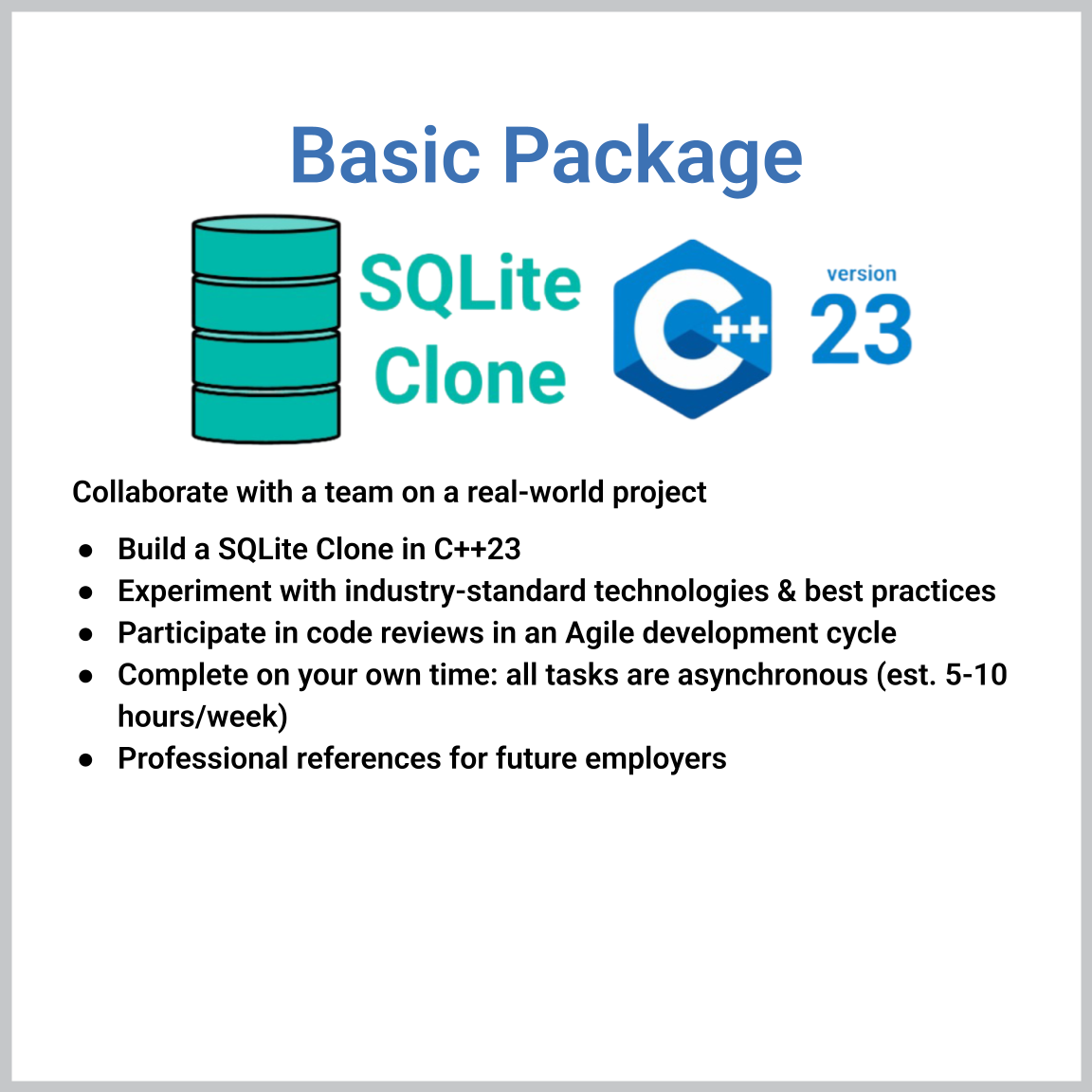 Virtual 6-week Software Engineering Externship (Basic Package)