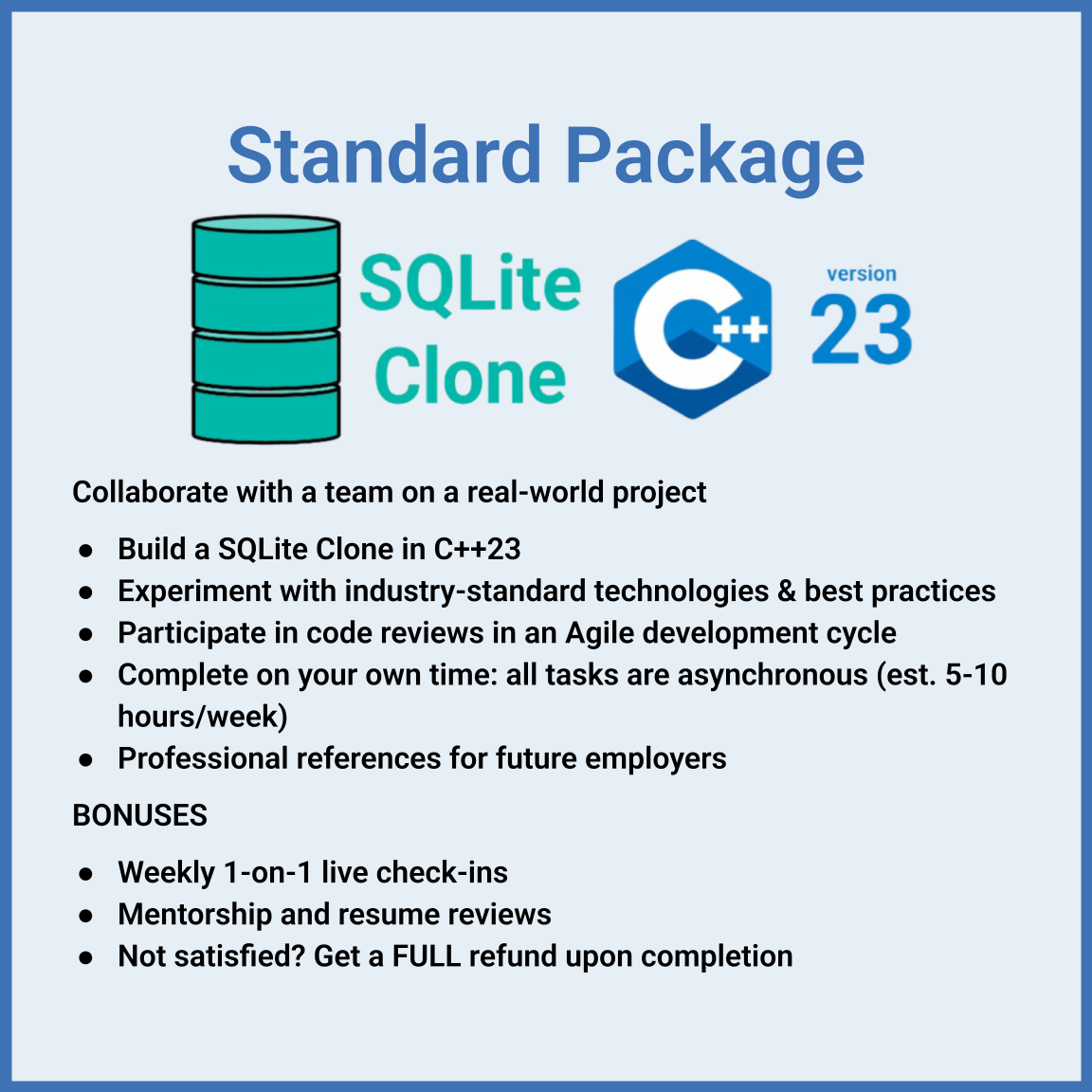 Virtual 6-week Software Engineering Externship (Standard Package)