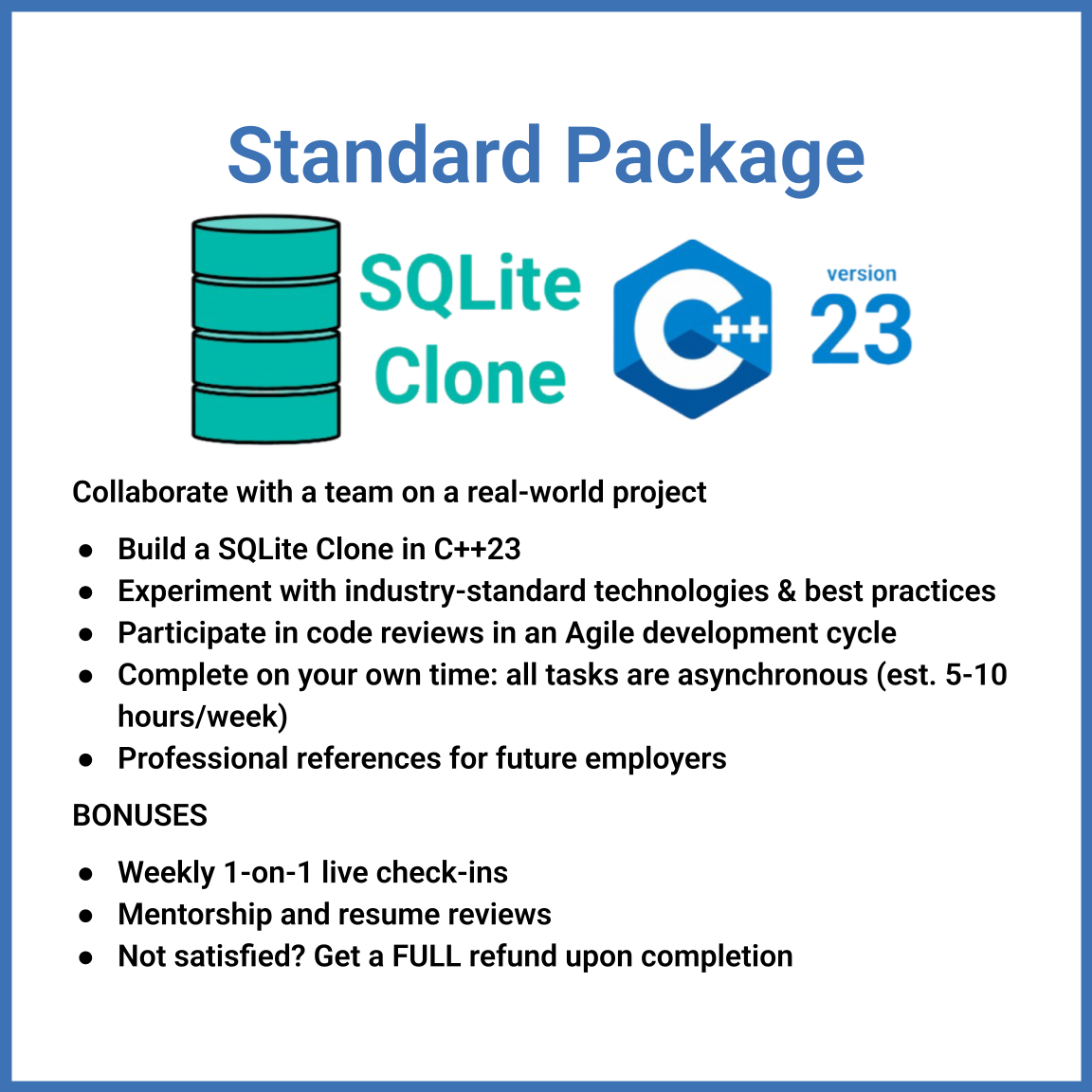 Virtual 6-week Software Engineering Externship (Standard Package)