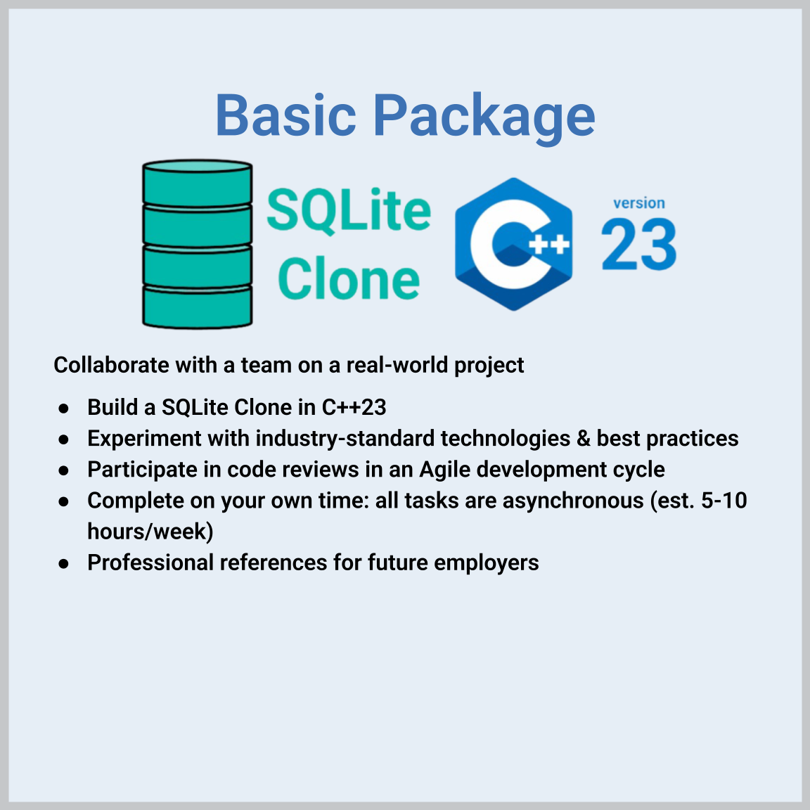 Virtual 6-week Software Engineering Externship (Basic Package)