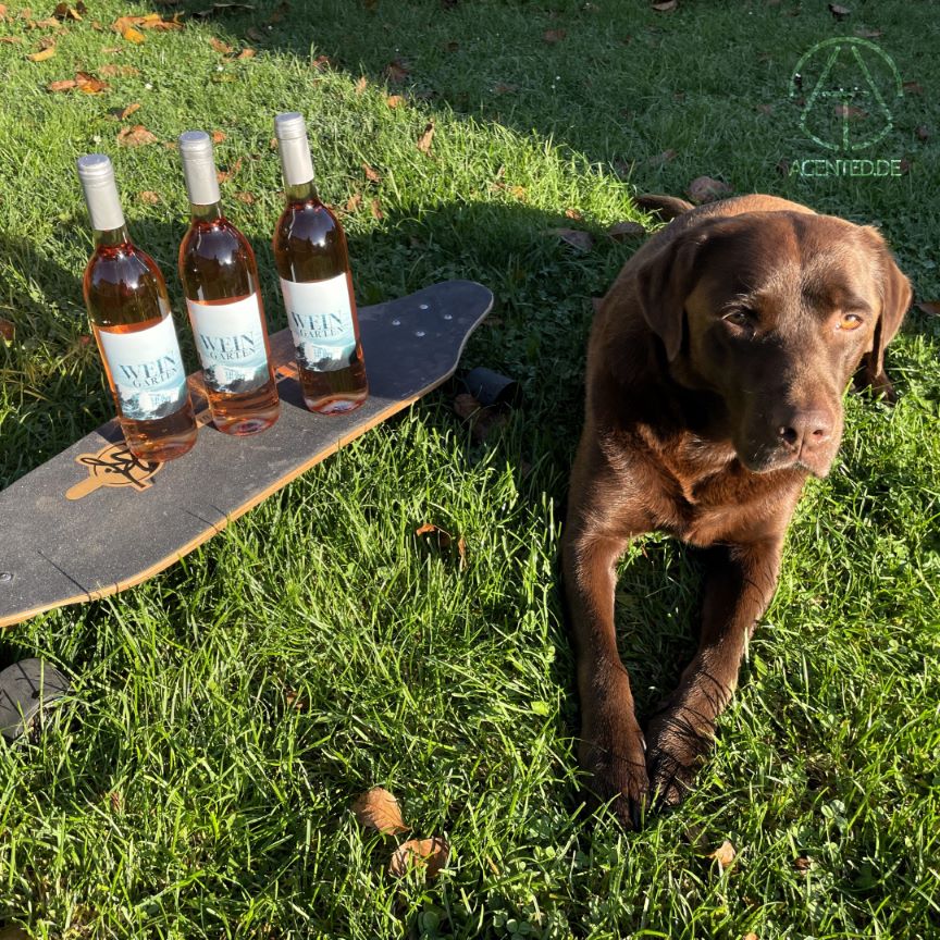 "WEIN"Garten