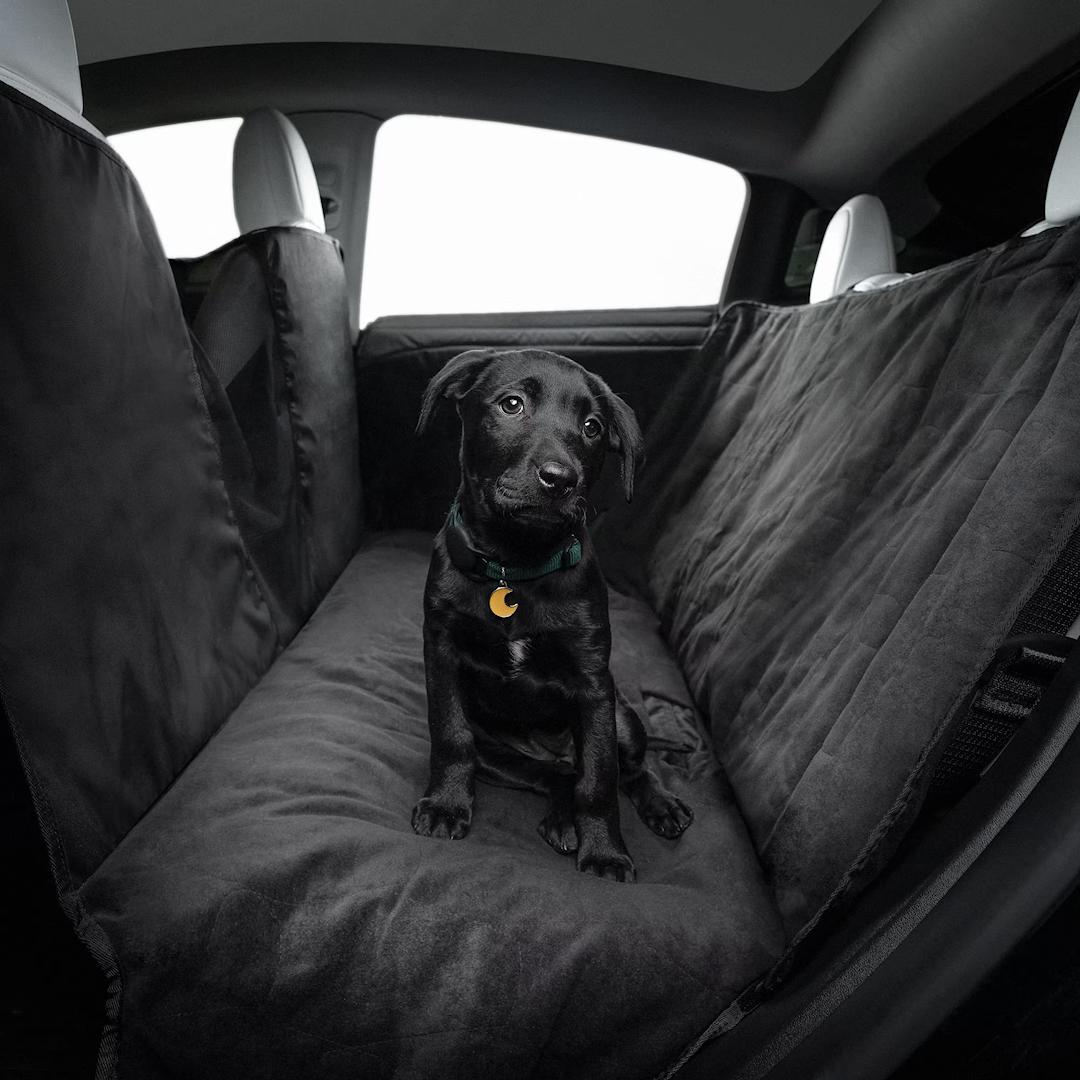 Doublure pour animaux de compagnie - Model S/3/Y