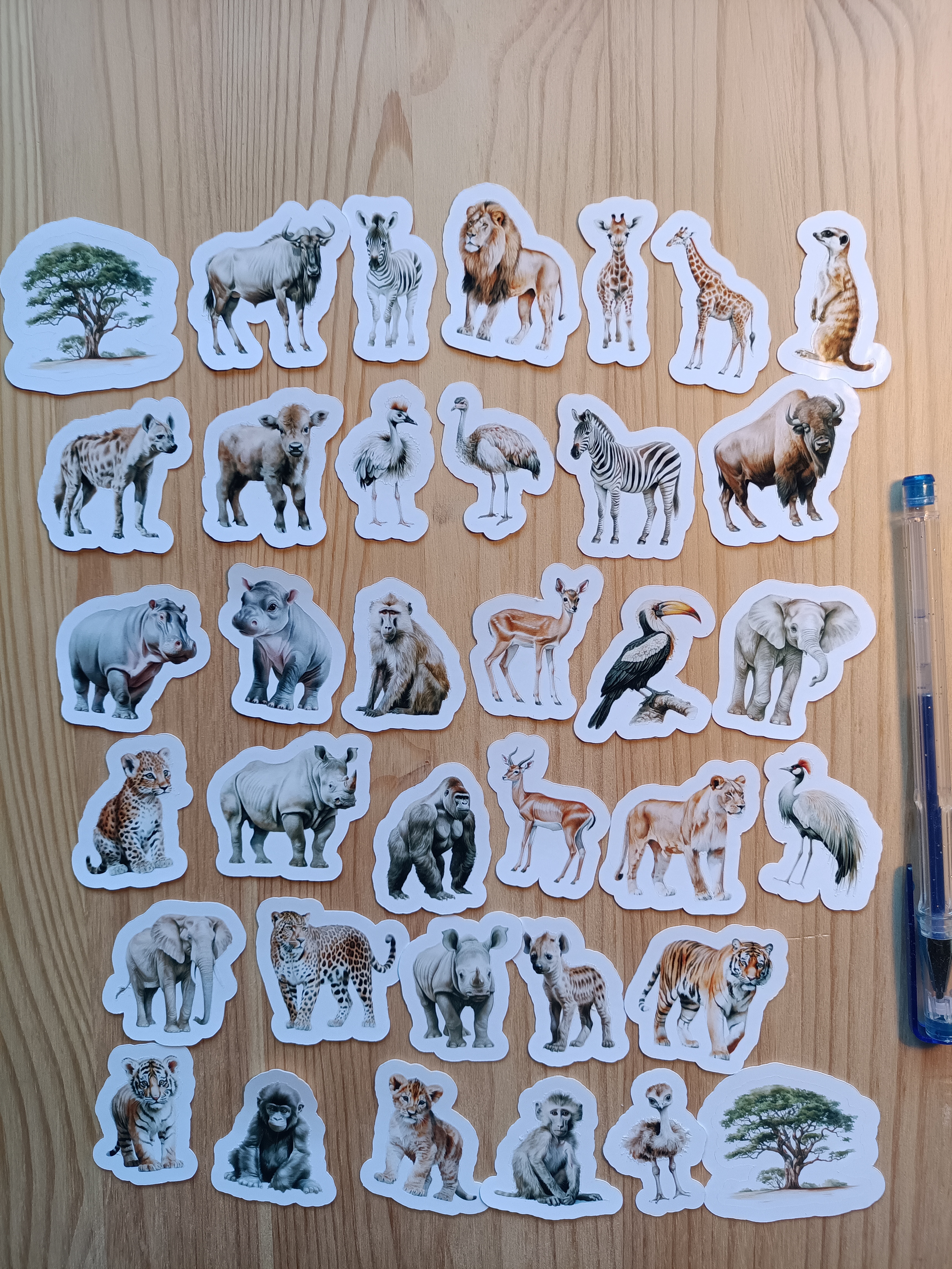 Safari Vilda Djur Klistermärkespaket - 36 st.