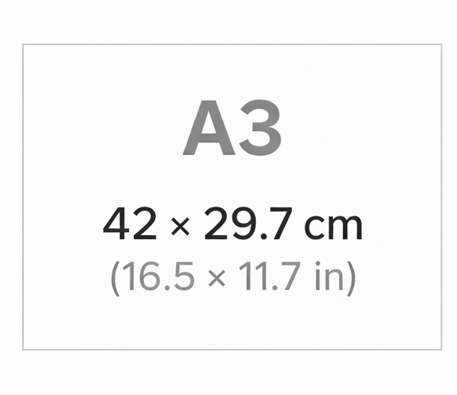 A3 Poster Klassisk Japansk Touringcar – Teknisk Motorsportillustration