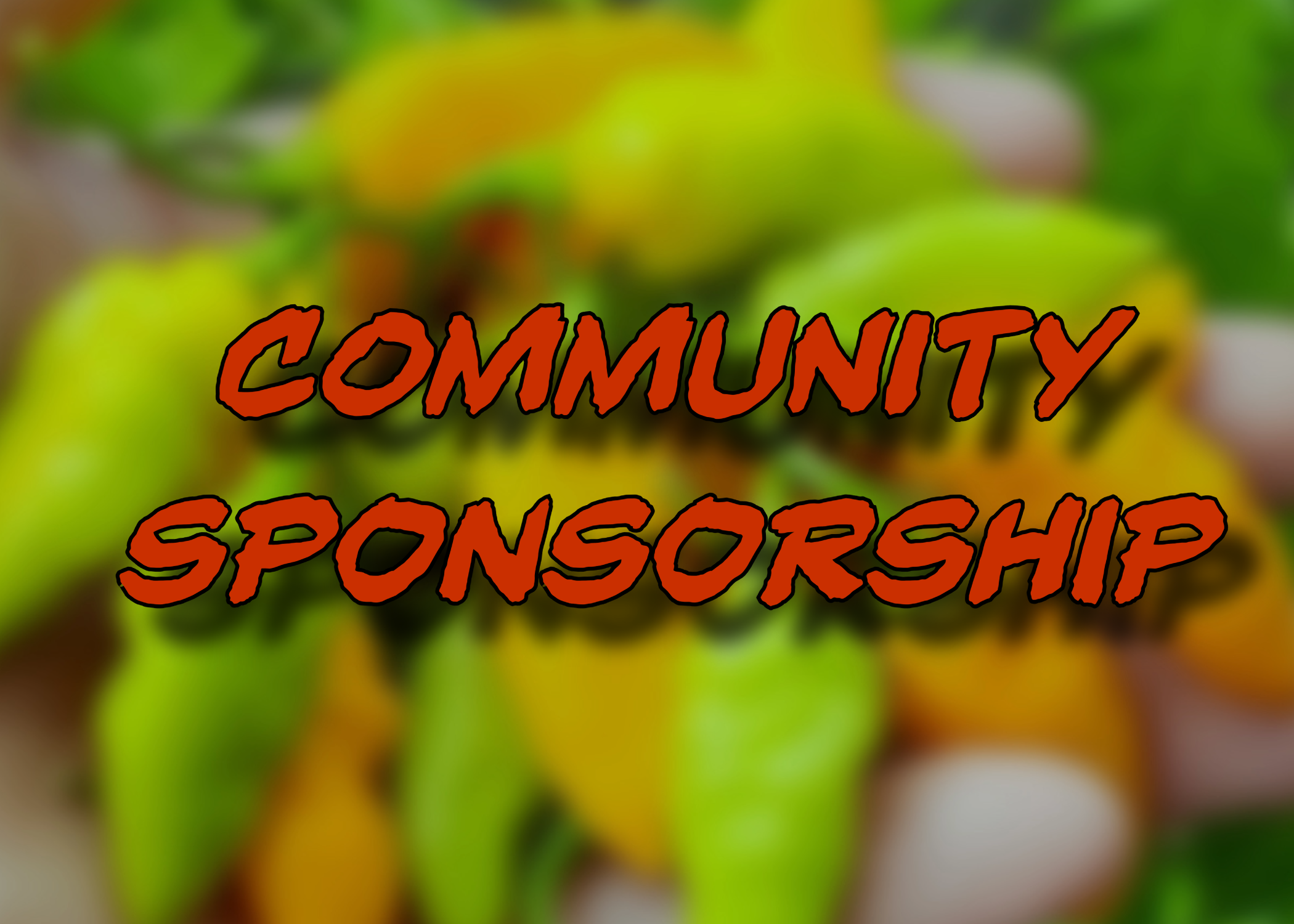 Community Sponsor