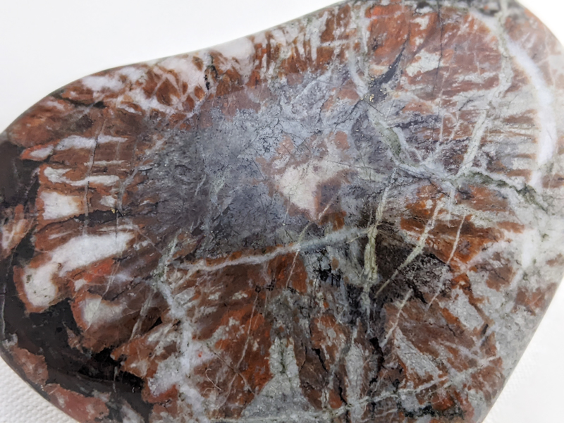 【国産銘石】岐阜県根尾谷産菊花石　不規則な研磨 にぎり石　NG003_154g