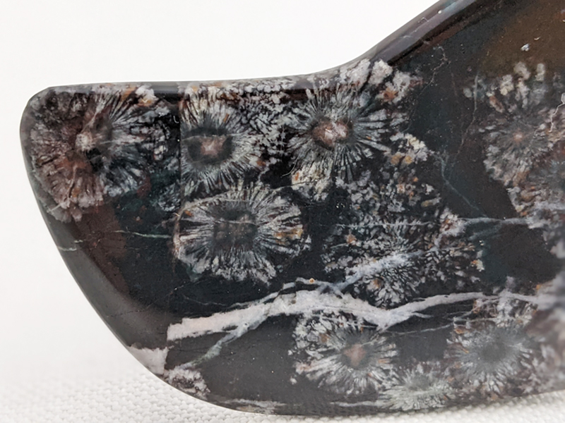 【国産銘石】岐阜県根尾谷産菊花石　不規則な研磨 にぎり石　01_NG001_20g