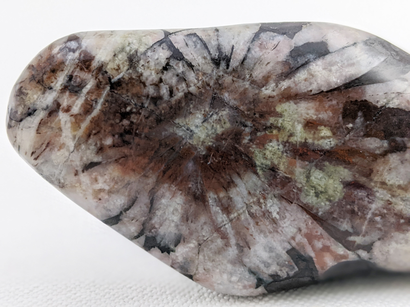 【国産銘石】岐阜県根尾谷産菊花石　ハート型不規則な研磨 にぎり石　NG005_63g