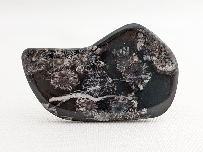 【国産銘石】岐阜県根尾谷産菊花石　不規則な研磨 にぎり石　01_NG001_20g