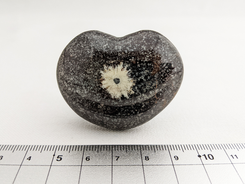 【国産銘石】岐阜県根尾谷産菊花石　ハート型不規則な研磨 にぎり石　10_NG010_51g