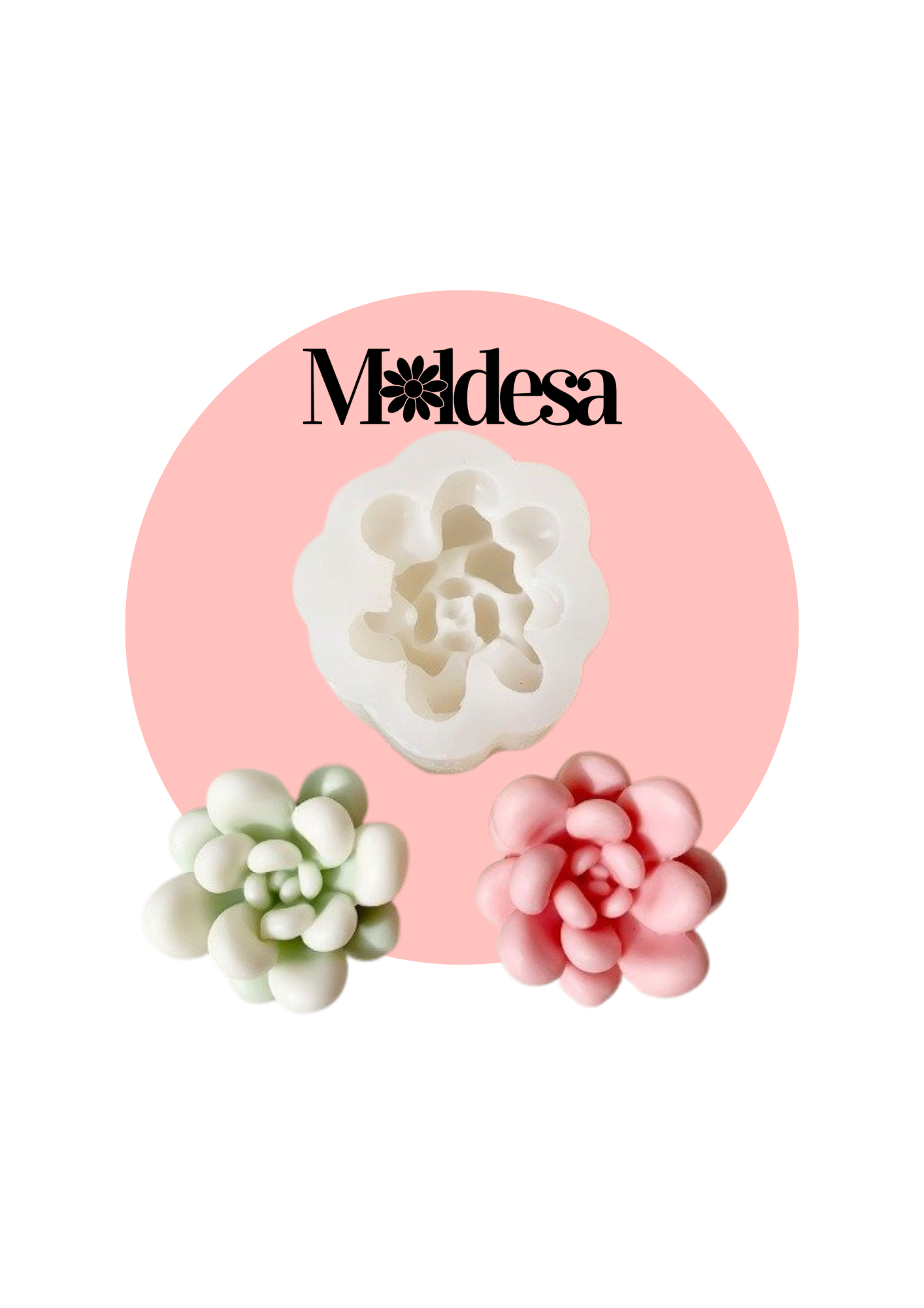Molde de silicona para suculentas