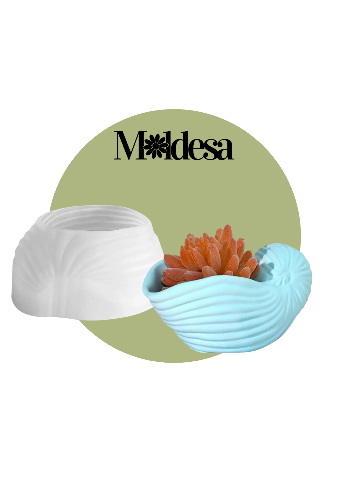 Molde silicona maceta caracol de mar