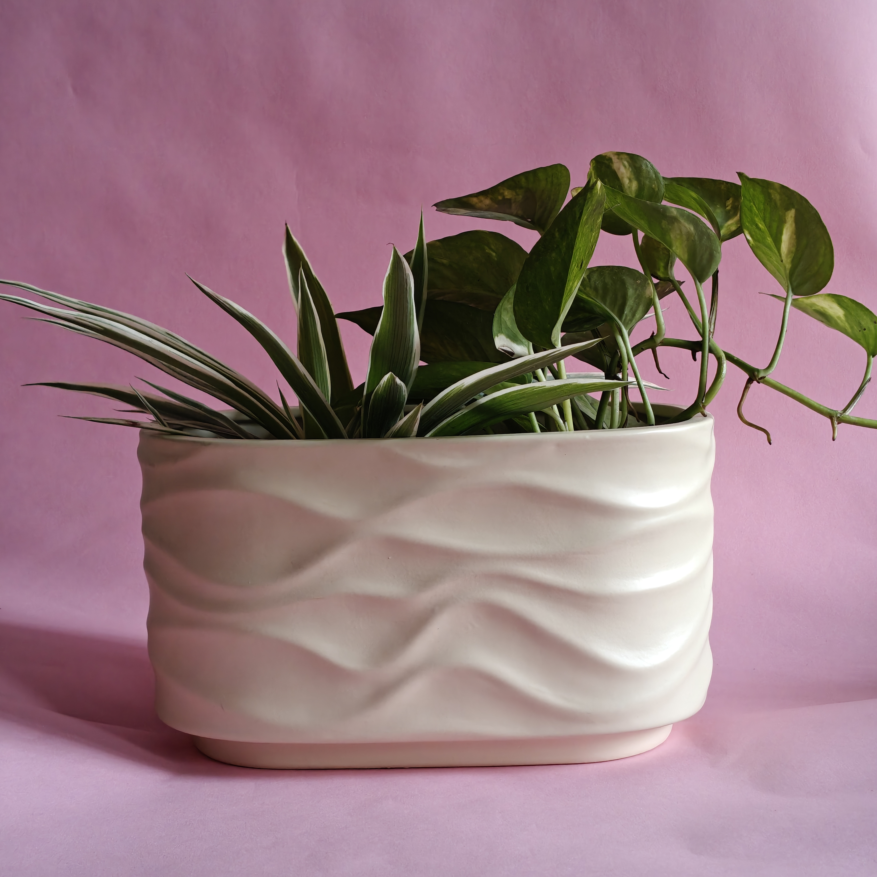 Bonzai Curved Ceramic Planter 