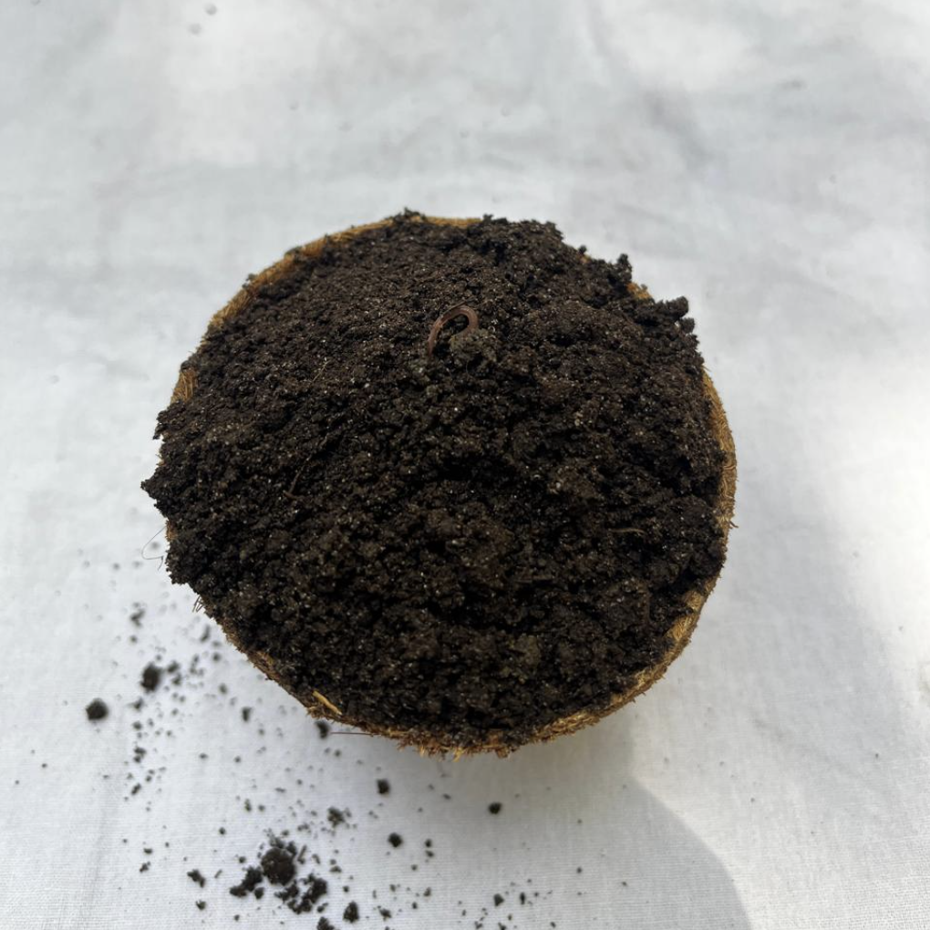 Premium Organic Vermicompost