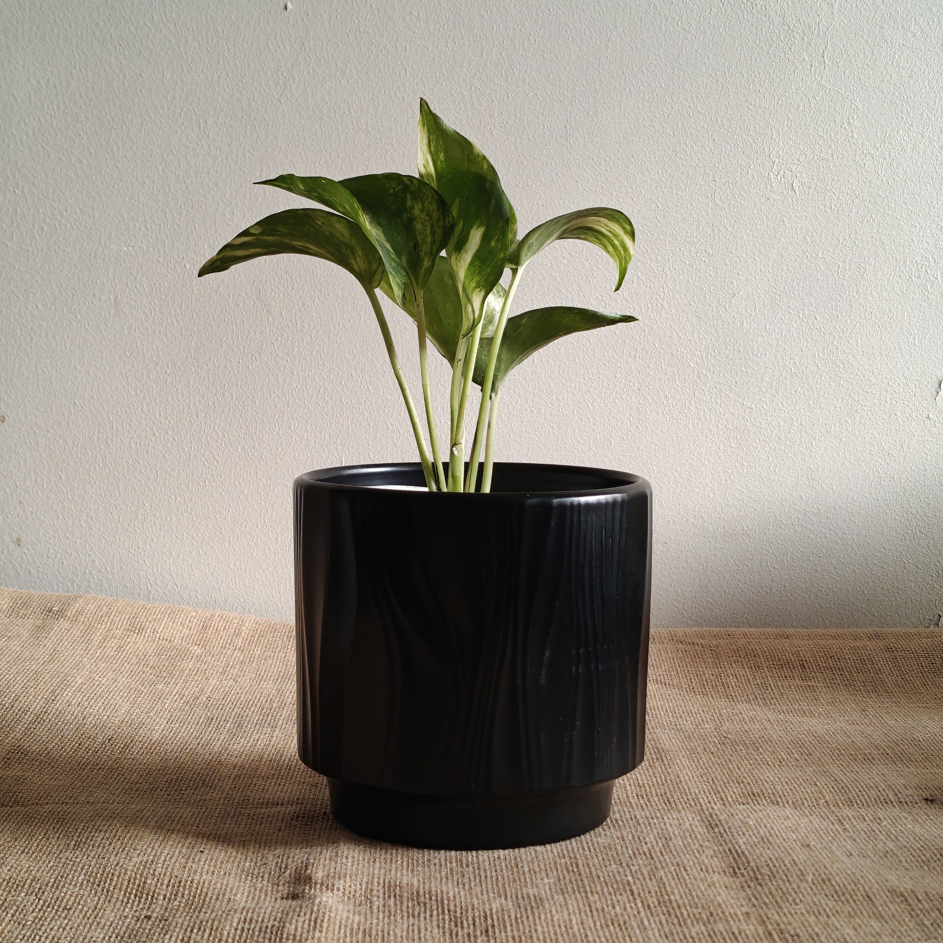 Desk Ceramic Planters