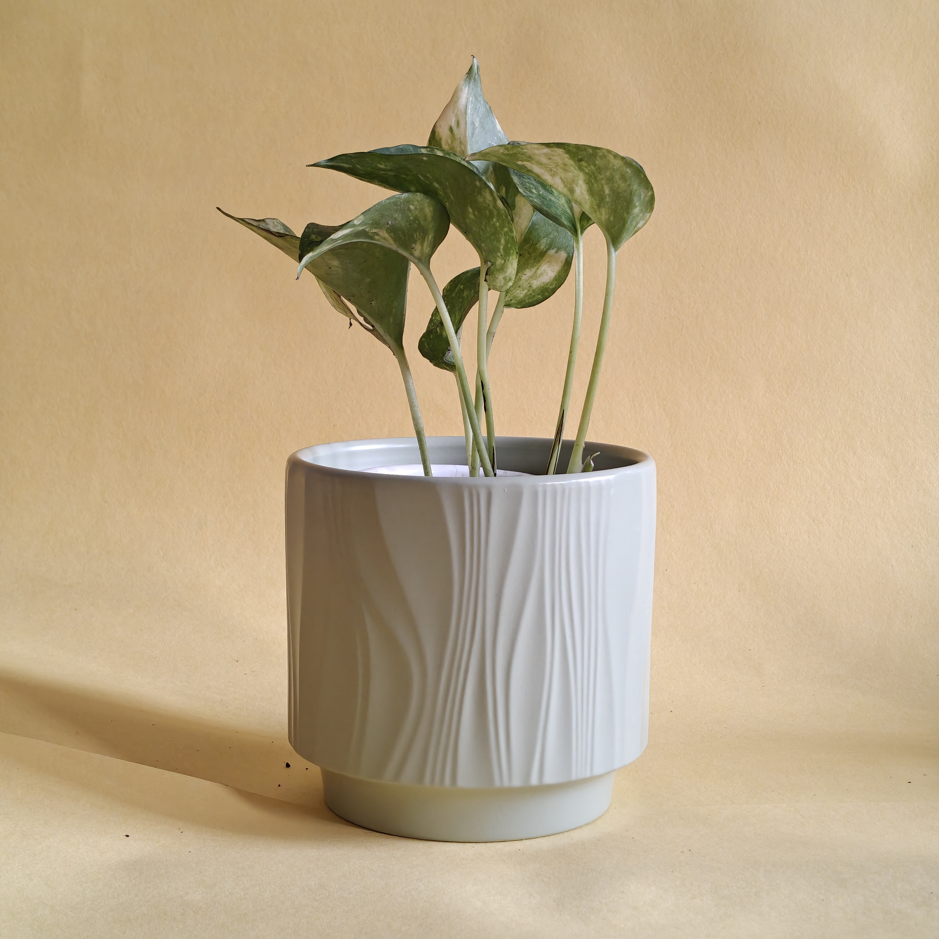 Desk Ceramic Planters