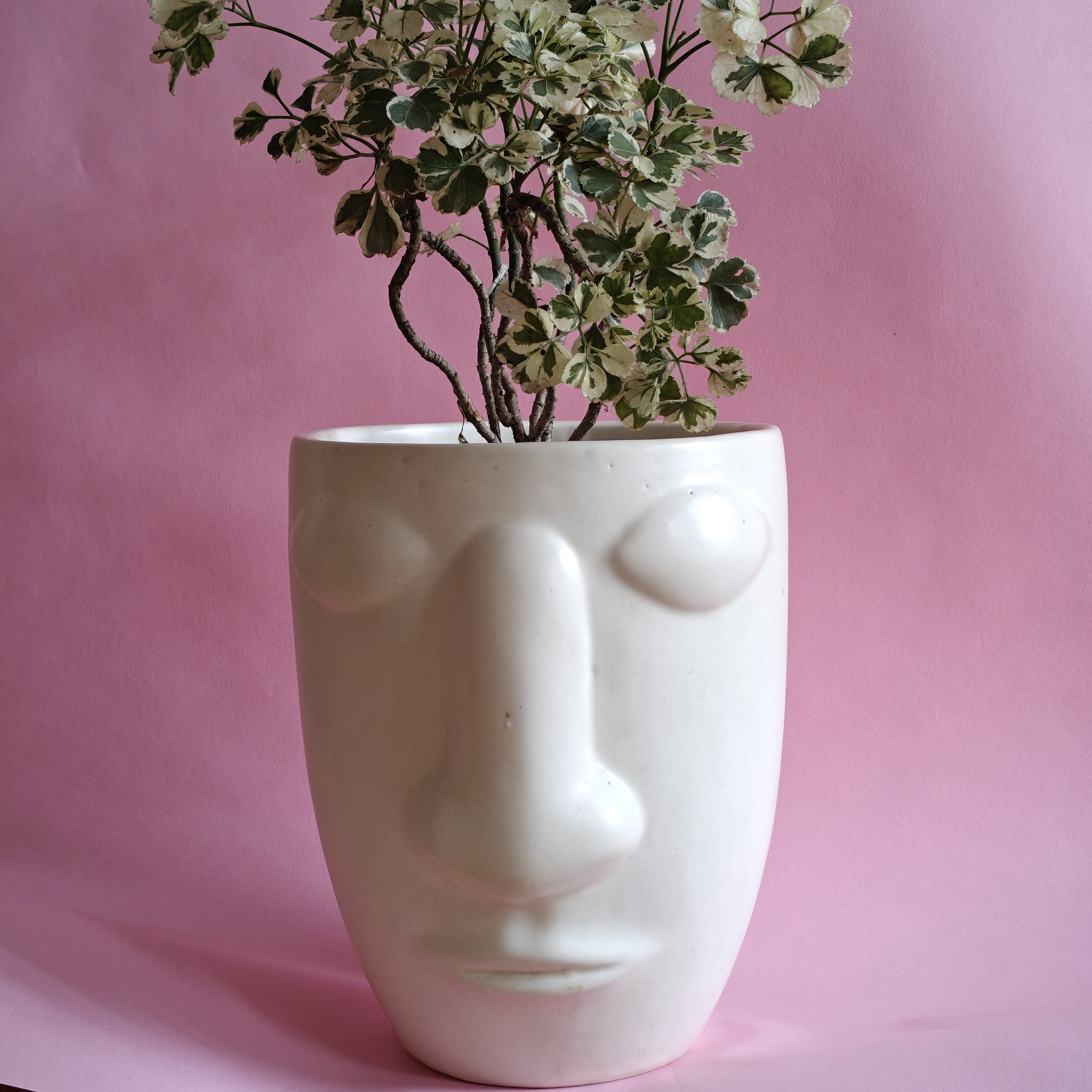 The Sylvan Visage