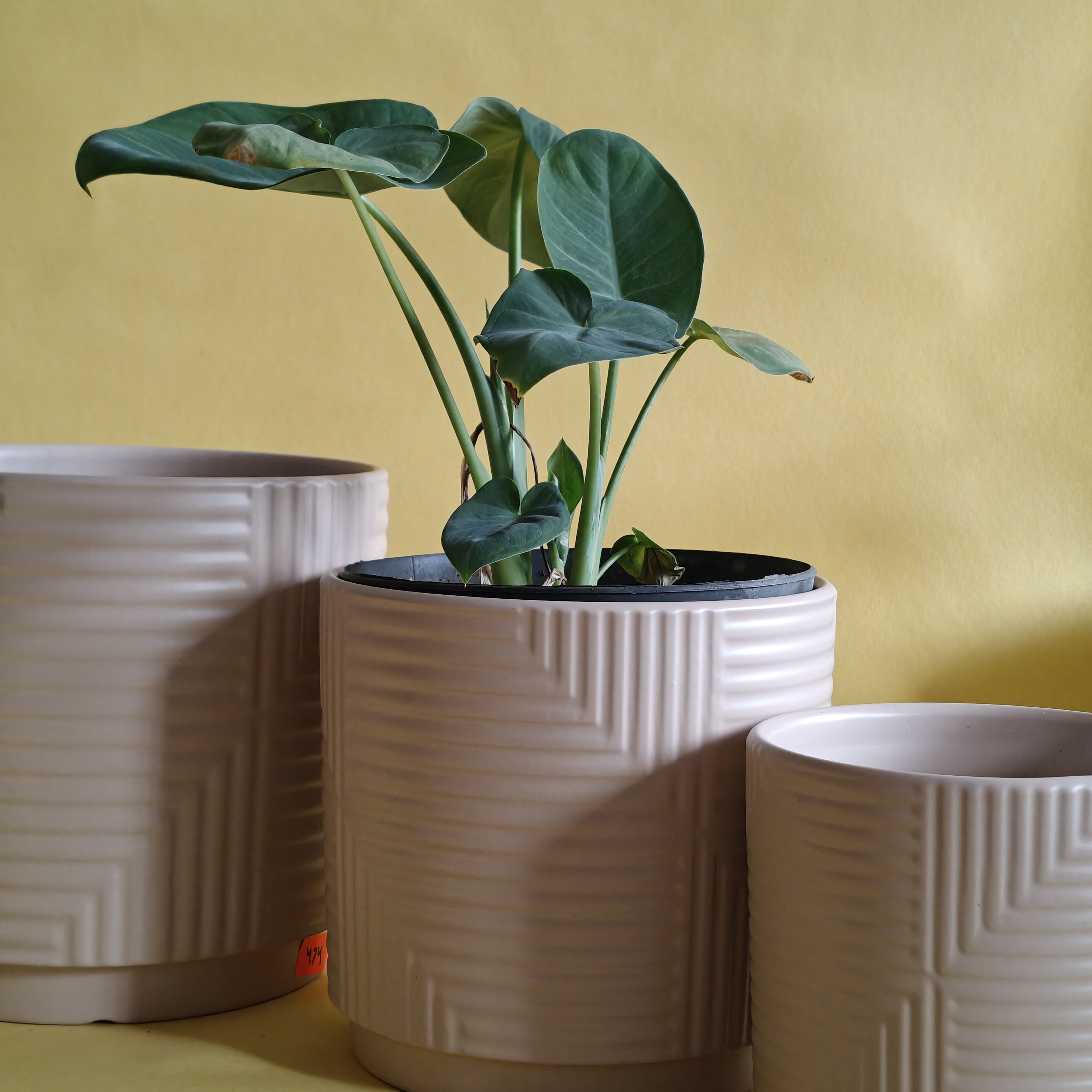 Modern Ceramic Planter Set