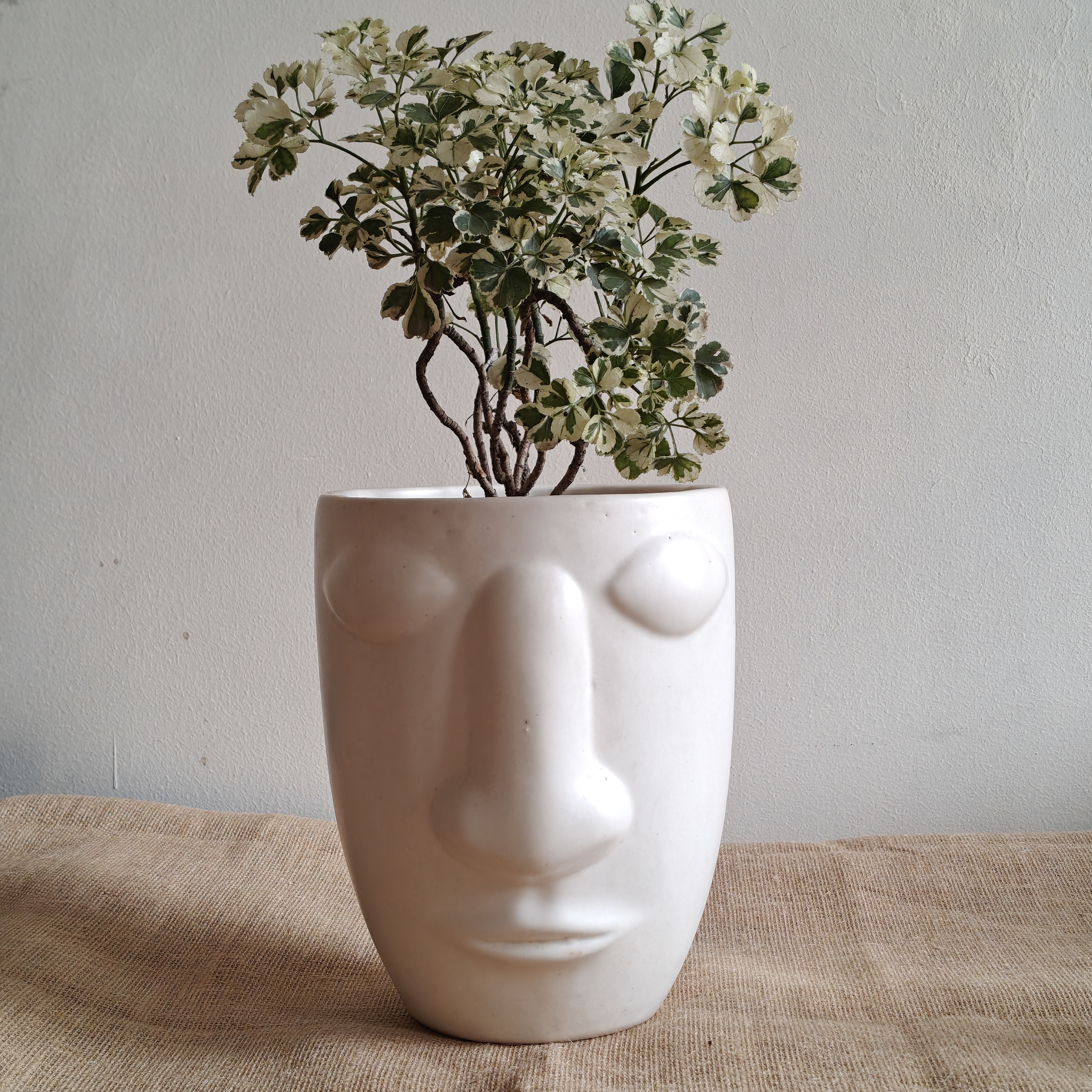 The Sylvan Visage