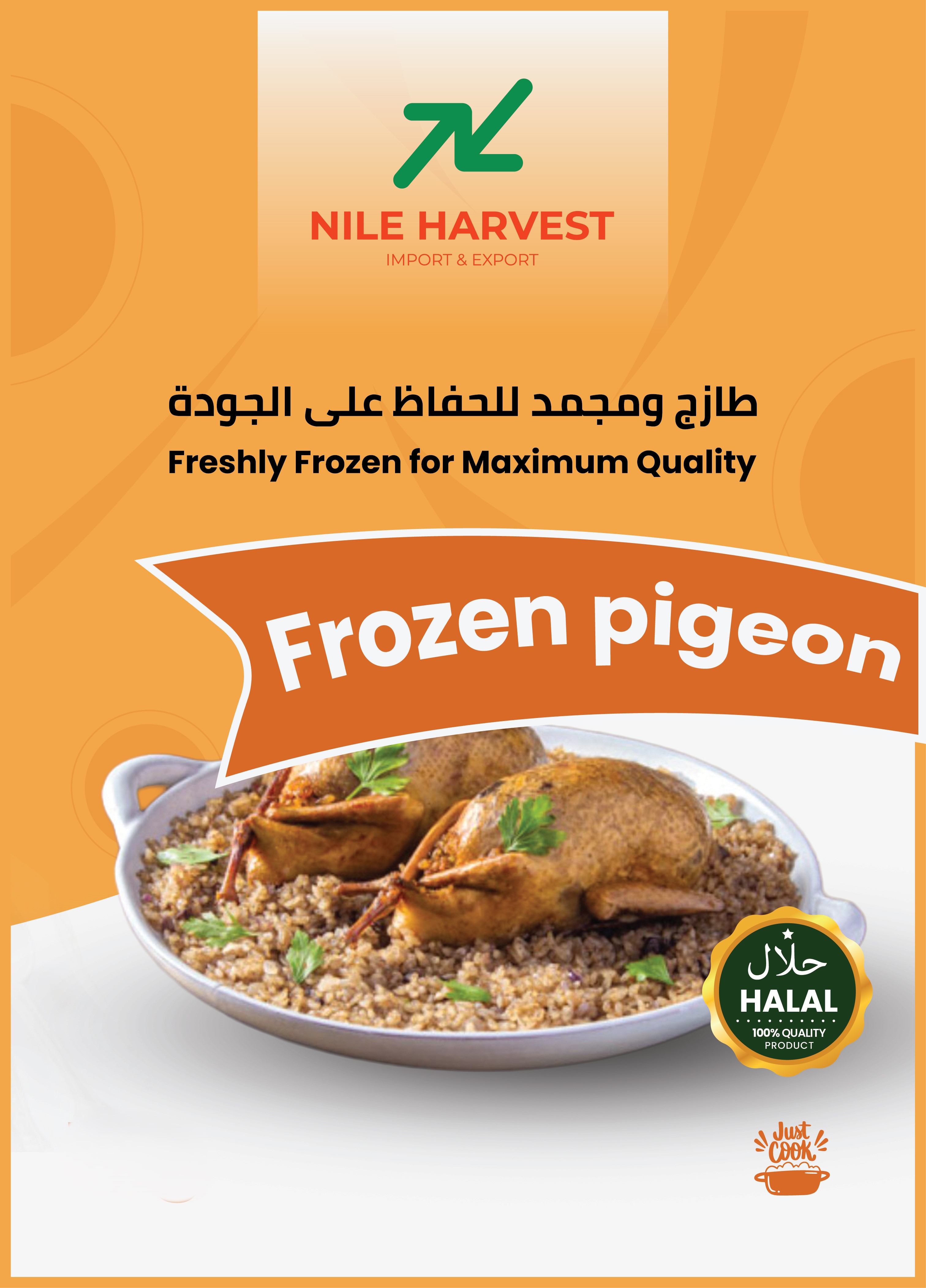 Frozen Pigeon
