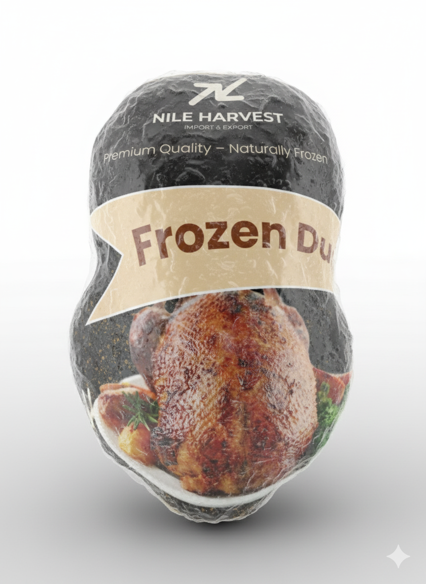 Frozen Duck