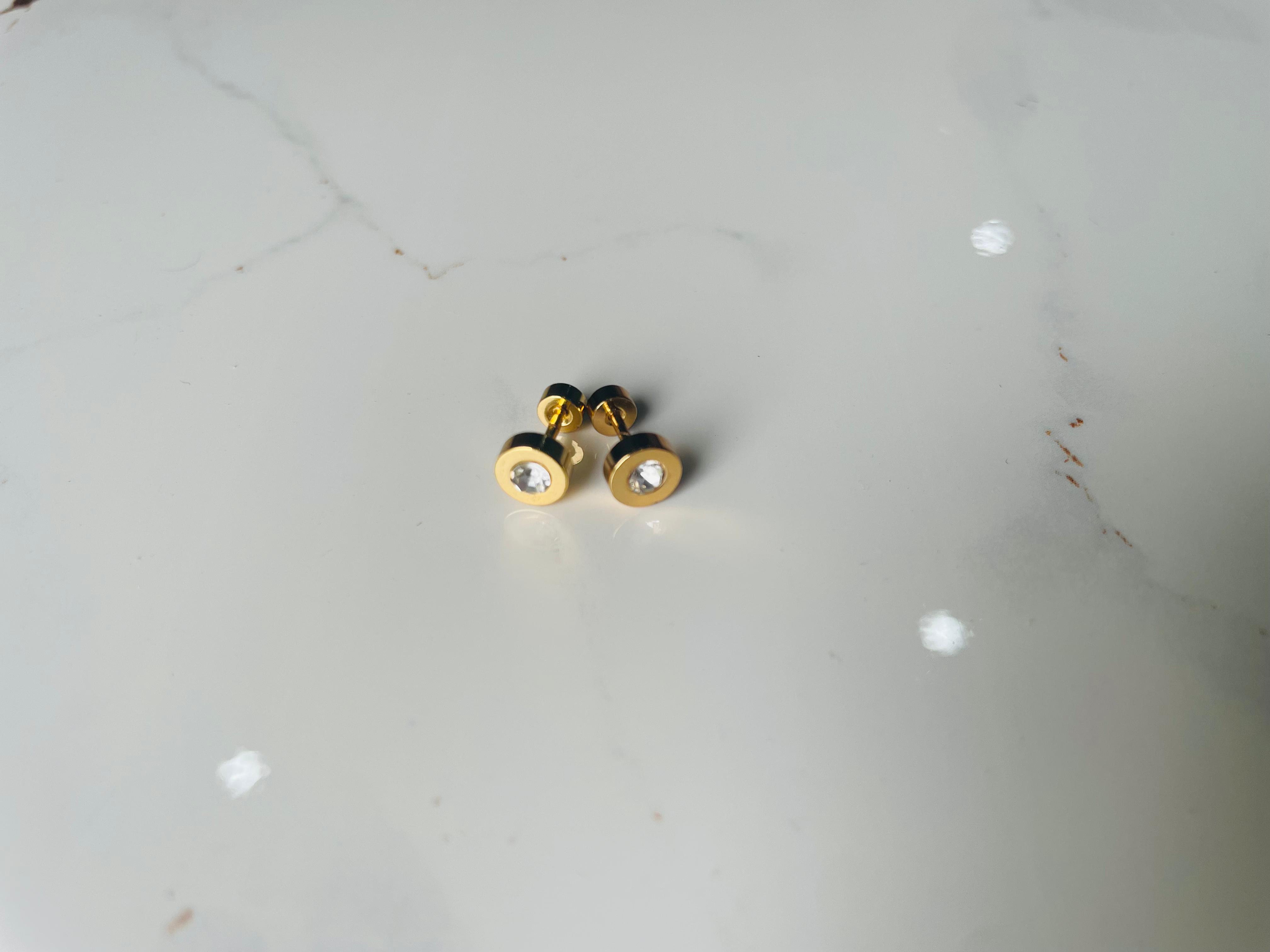 Stainless steel stud earrings