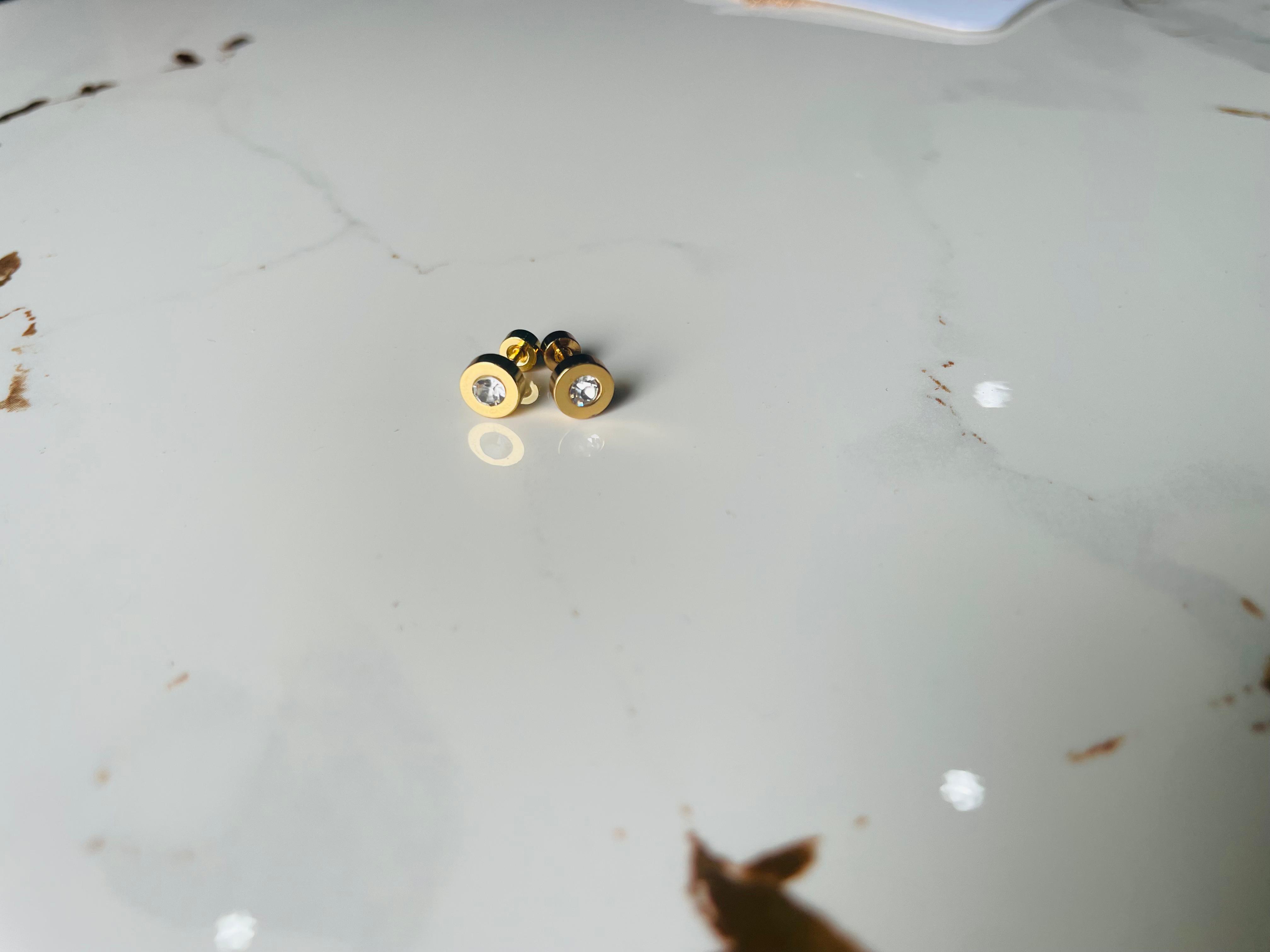 Stainless steel stud earrings