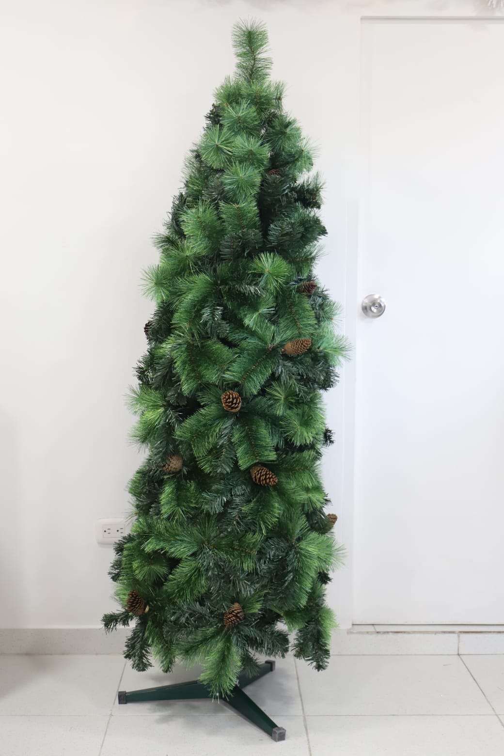 Árbol Nero Vela 2.00 mts