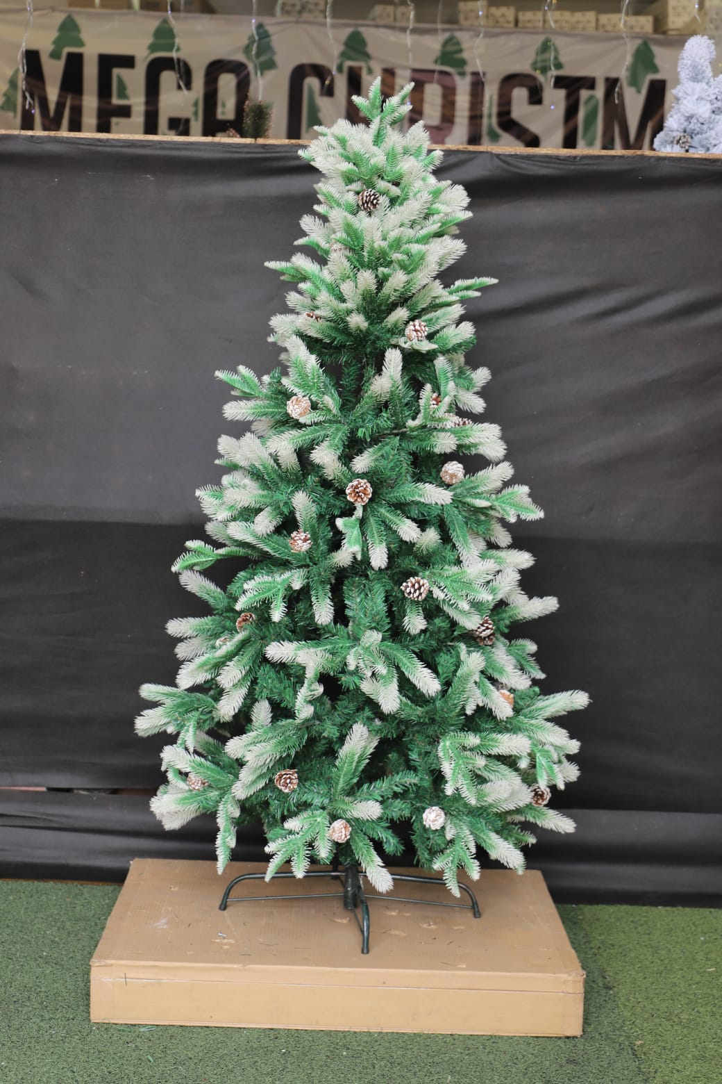 Árbol de Puntas blancas 1,80 mts