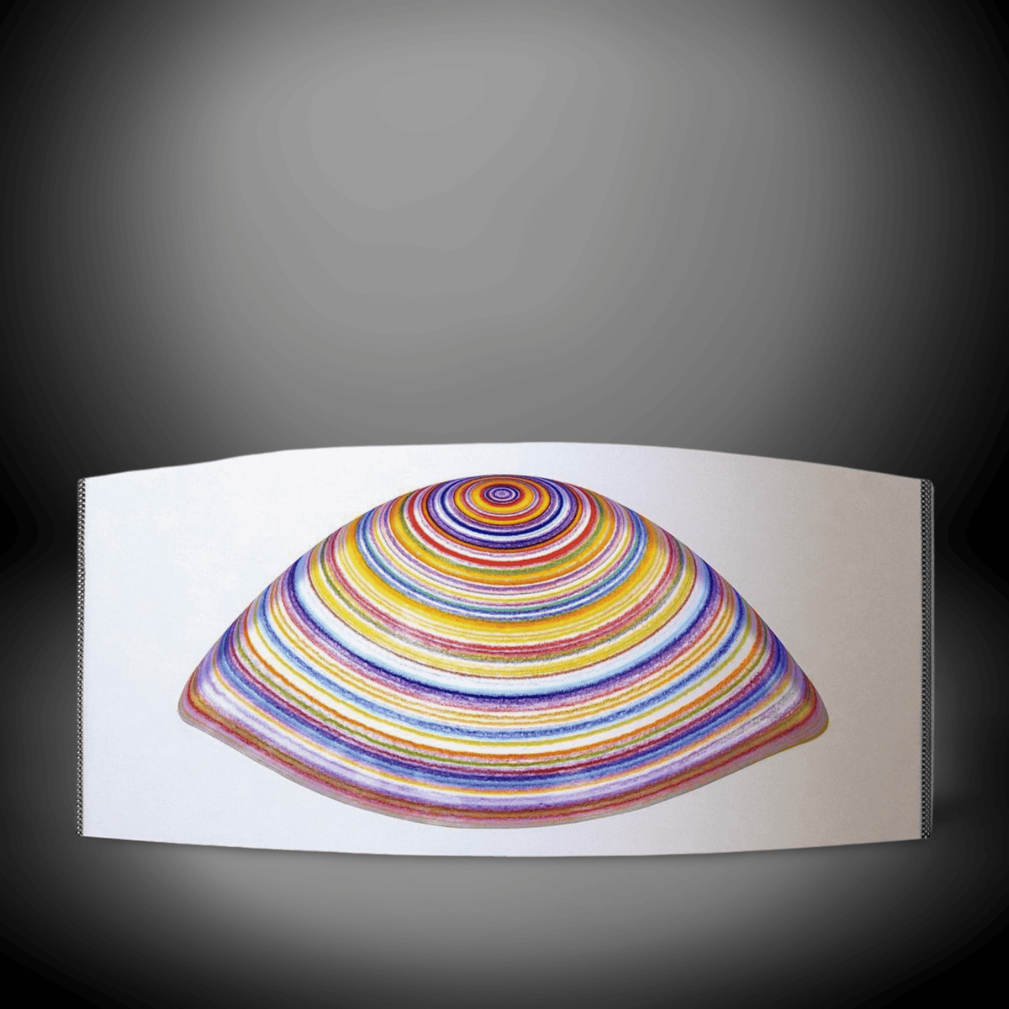 Colorful Striped Shell Artwork