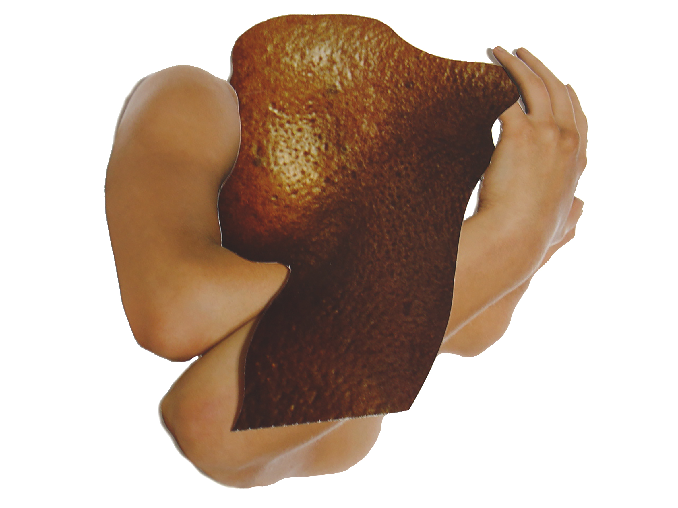 Formes No.3 – Violon d’Ingres 