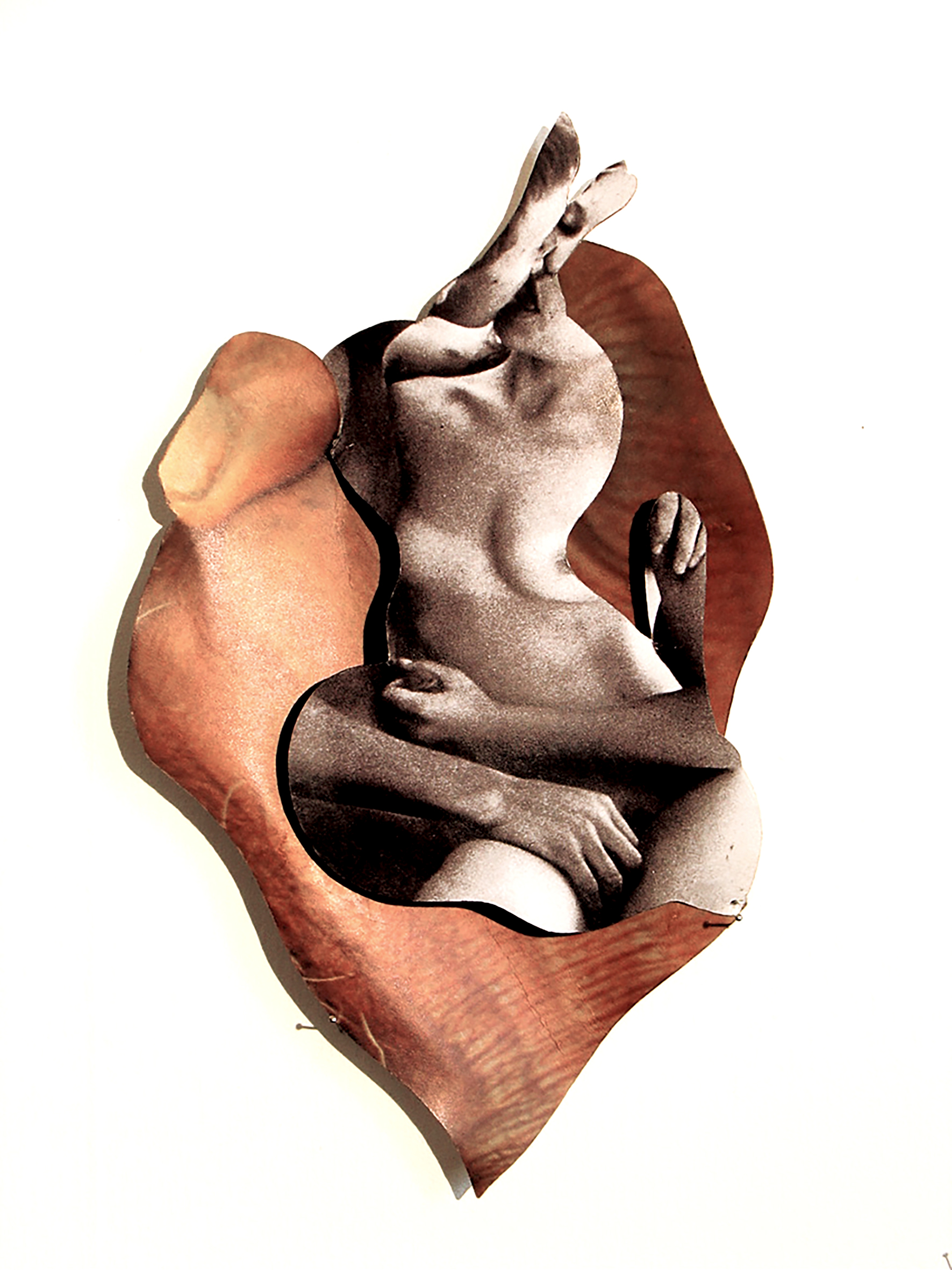 Formes No.1 – Avant la vue