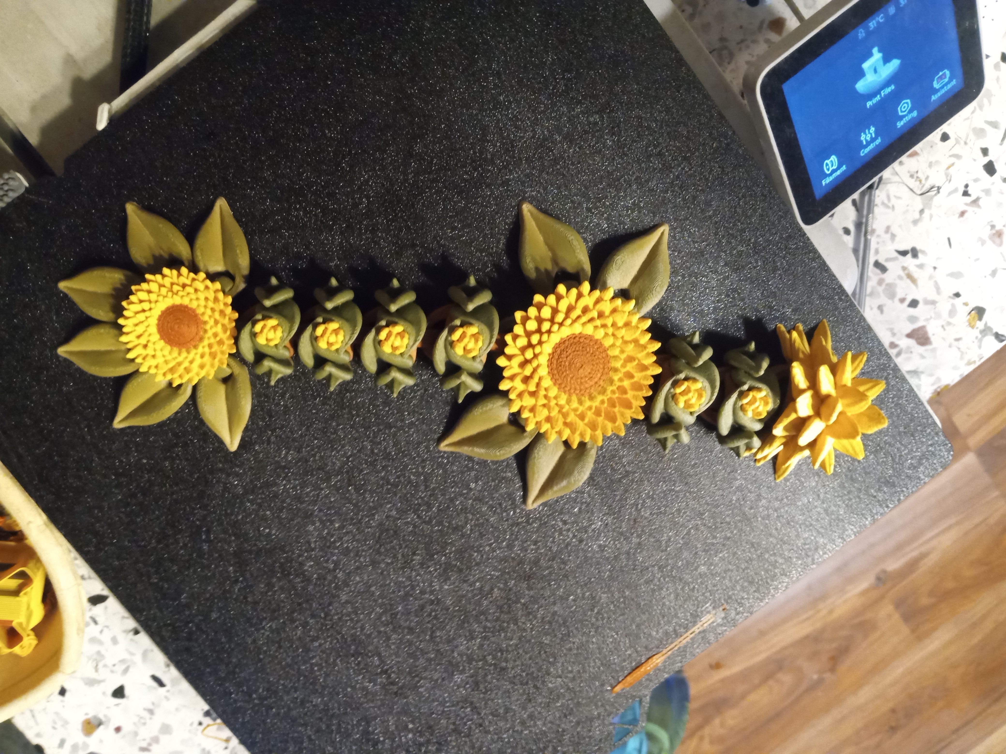 MysticSaige Baby Dragons-Sunflower