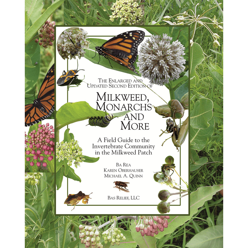 Milkweed, Monarchs and More