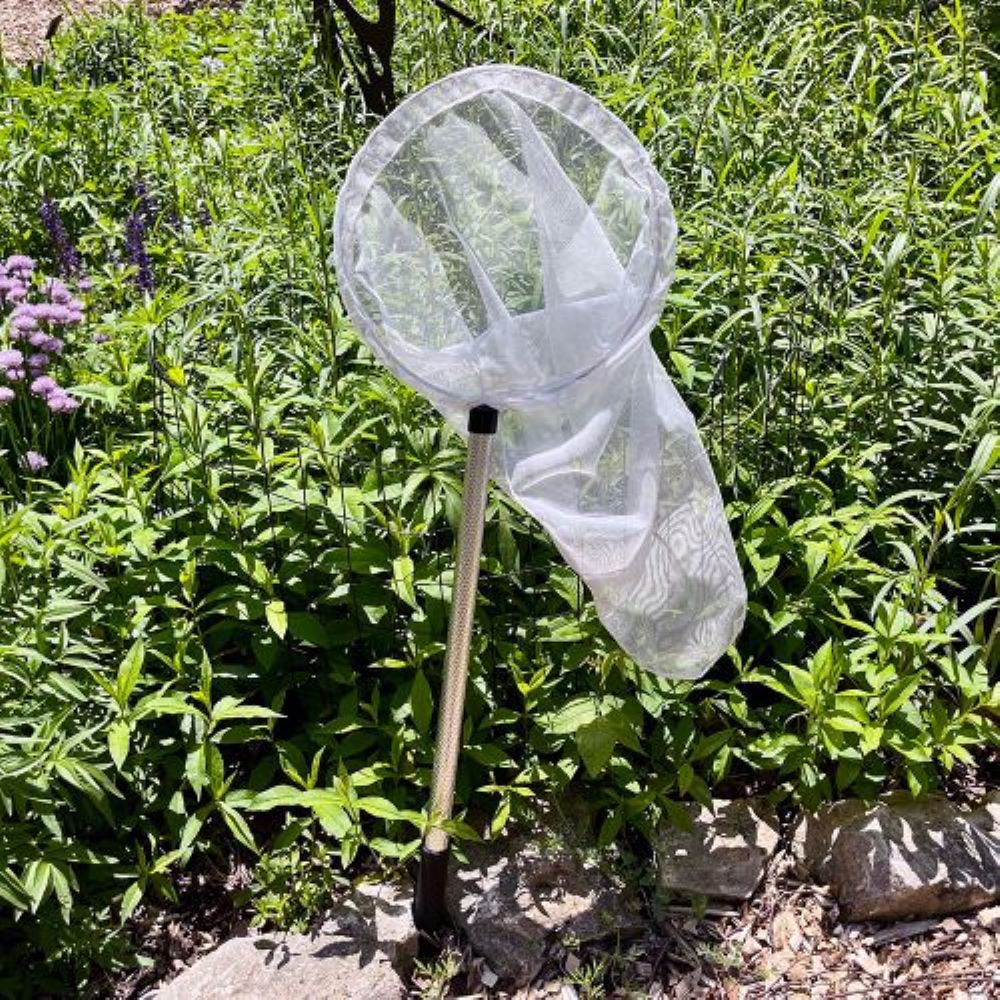 Insect Net