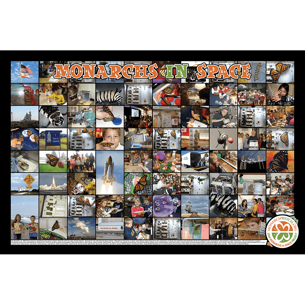 Monarchs in Space Poster